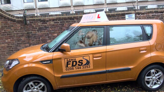 Fake Driving School Anna deVille naná, hogy análba akarja !