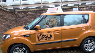 Fake Driving Schoolhatalmas cickós csoki picsa istenien szexel