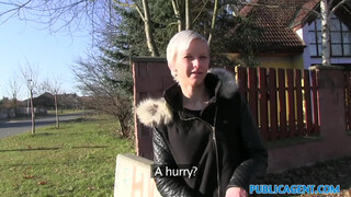 Public Agent - cseh hölgyemény kopasz pinácskája